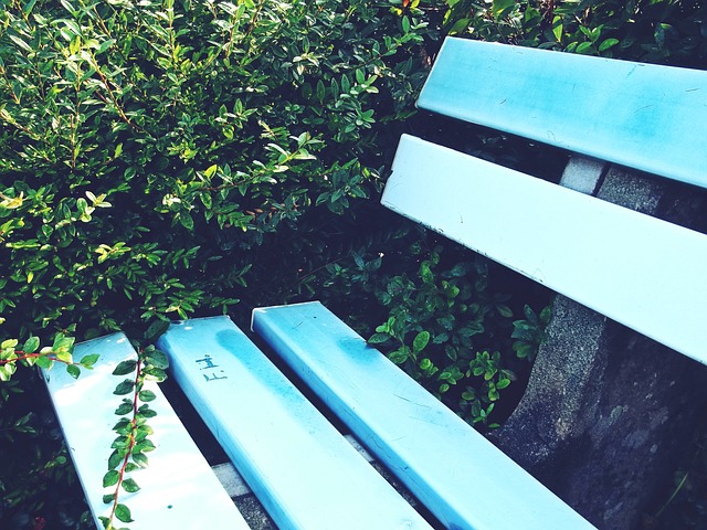 勇士五小 勇士五小