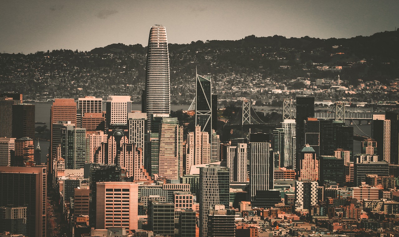 不仅衬托出 不仅衬托出