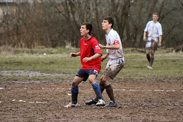 不仅衬托出 不仅衬托出