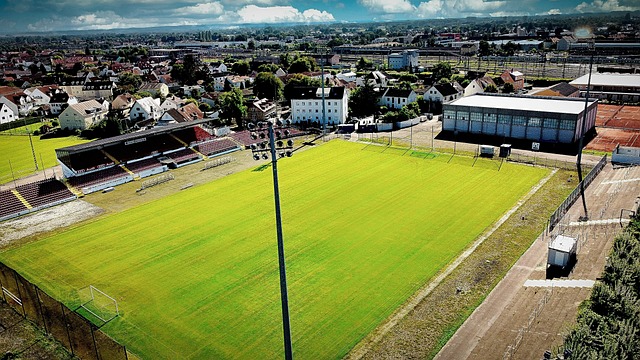 球权分配 球权分配